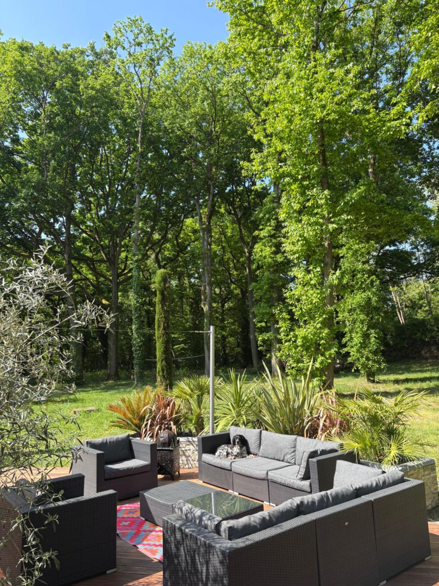 Somptueuse Villa D'Architecte Rochefort-en-Yvelines Екстер'єр фото